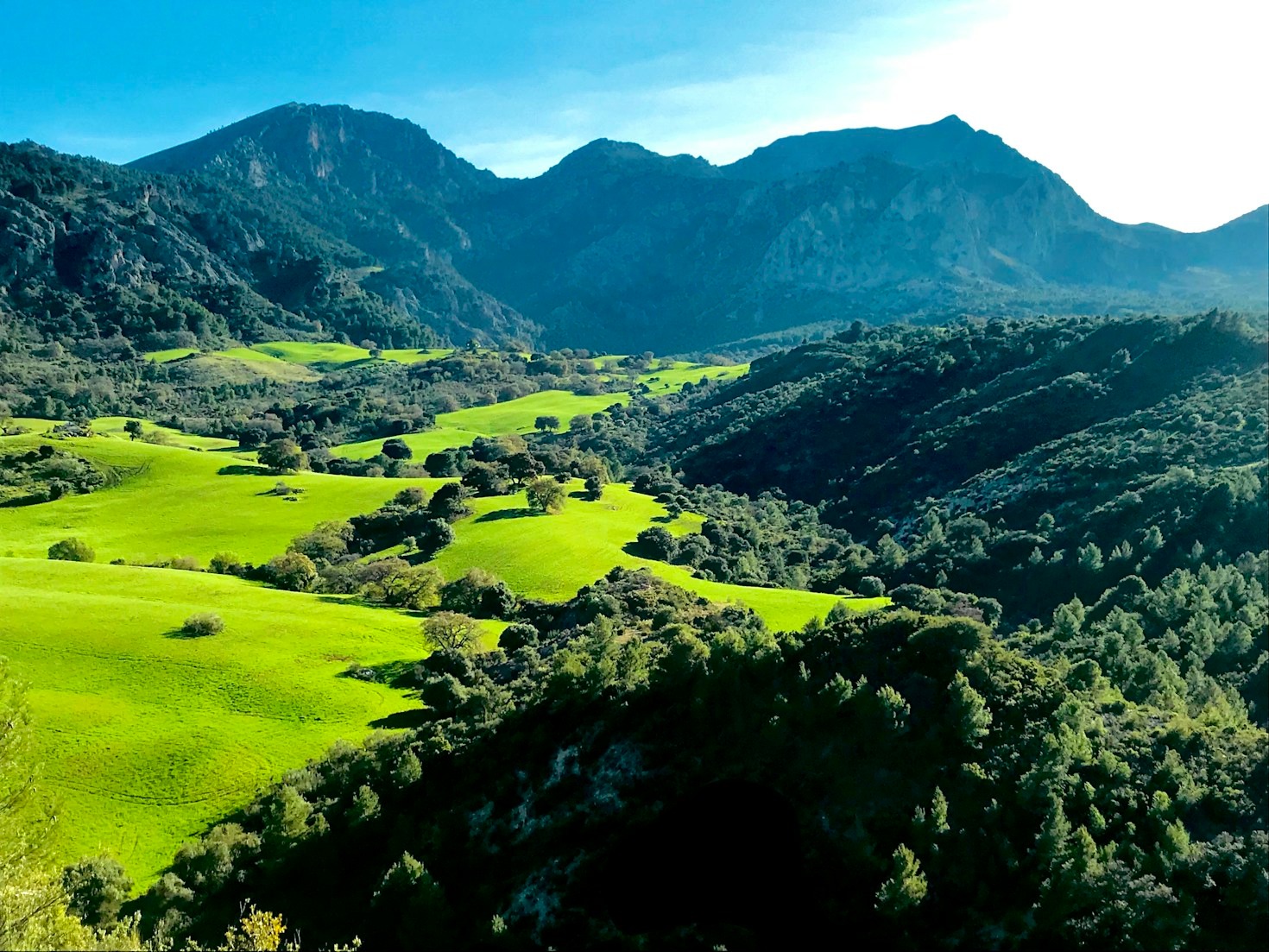 The Art of Cultivation at Ca’ Leoni