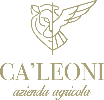 Ca’ Leoni © 2026.